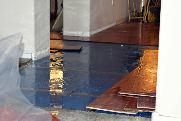 Professional Basement Flood Cleanup technician working in Oakdale, CA